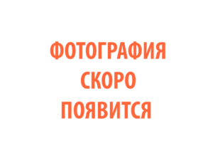 Фото 62 - Горелка TECH MS 450.